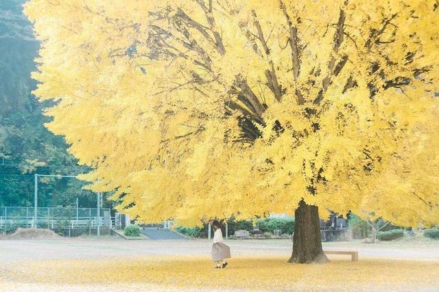 女士秋天拍美照，8种拍照姿势、技巧可以用，秋天景美人也美