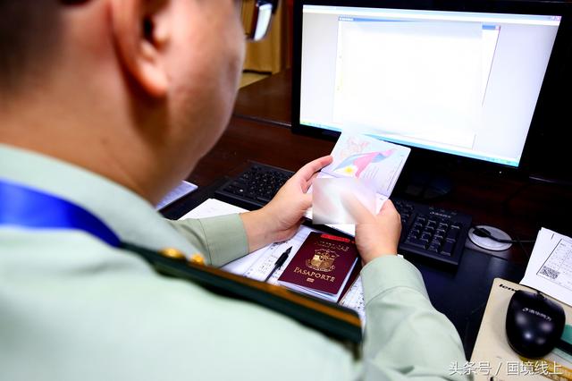 美女军人辛苦了！澳洲3863头“扶贫”奶牛从广西登陆