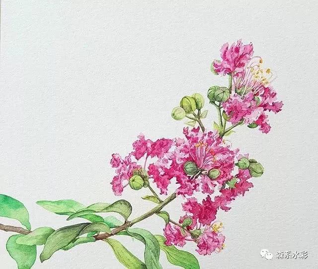 「森林系女孩」小清新水彩插画，带你走进自然的生活