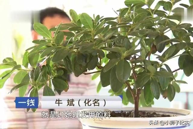已婚美女寻求刺激，竟和多个男人开房，结果惨死地窖内
