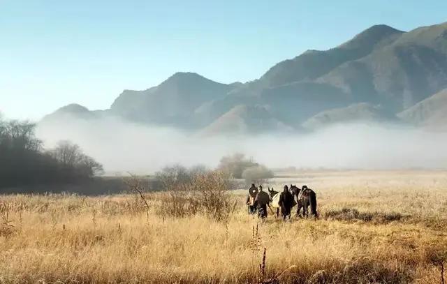 掏空硬盘,挖出6部压箱底的美女杀手电影,美艳炸裂