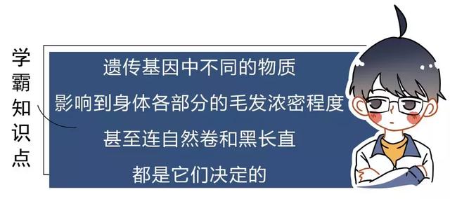 女生为什么会长胡子?女生的胡子会越刮越粗吗?