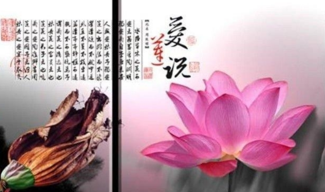 个性最倔强的3个生肖女,生气了,哄不好