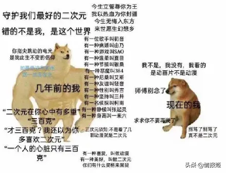 那只活在表情包里的柴犬doge，现在又进化了？