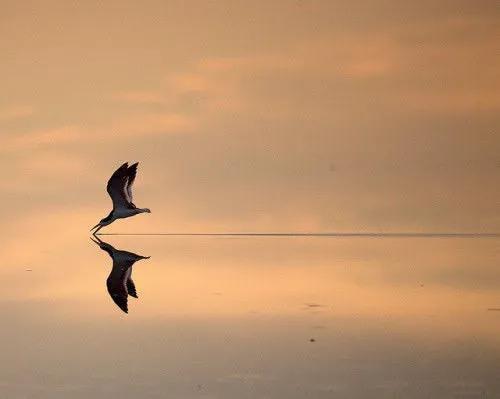 男子住41层酒店，女友光着身子拉开窗帘被清洁工看光，是谁之过？