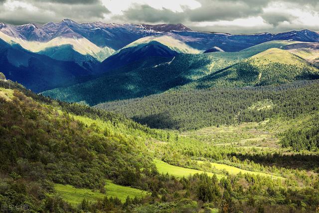 人到中年,看淡一切