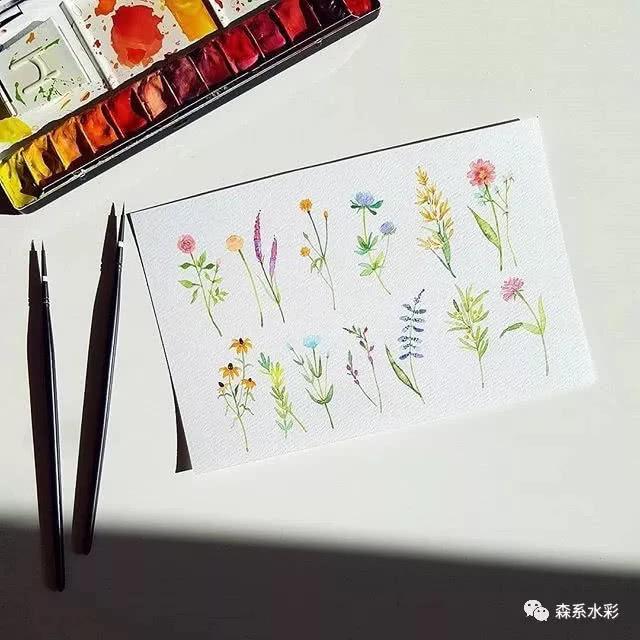 「森林系女孩」小清新水彩插画，带你走进自然的生活