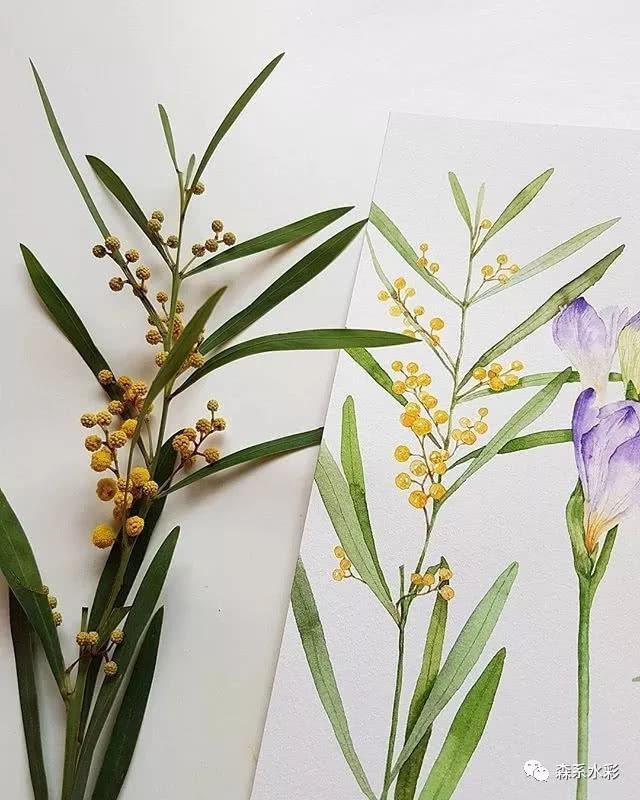 「森林系女孩」小清新水彩插画，带你走进自然的生活