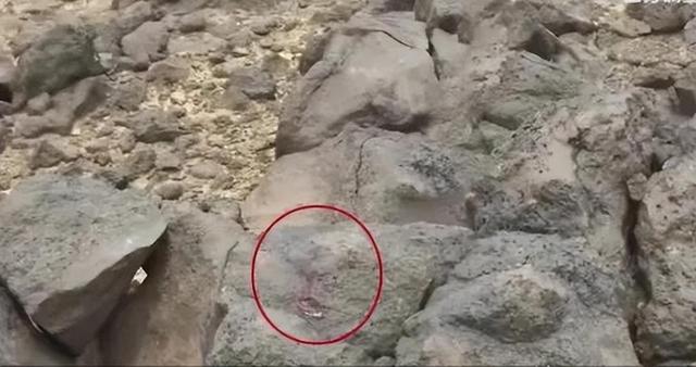 消失的夫妻：山东费县，四个年轻人当着丈夫的面折磨妻子8小时