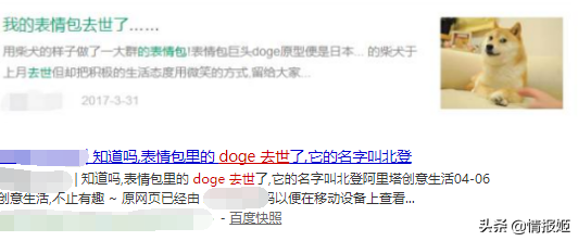 那只活在表情包里的柴犬doge，现在又进化了？