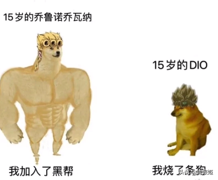 那只活在表情包里的柴犬doge，现在又进化了？