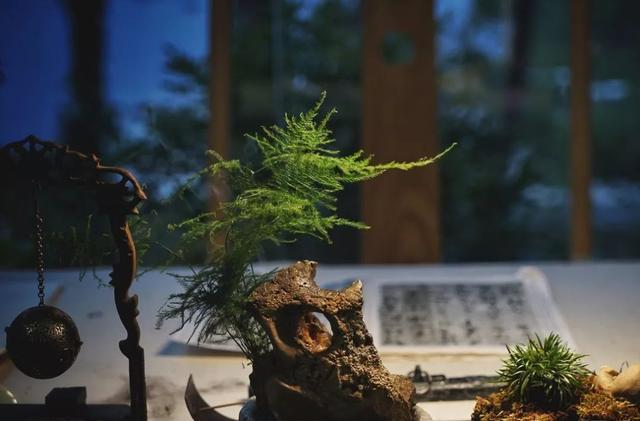 一个男人活在世上要过两大关,一个是金钱关,一个是女人关