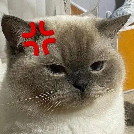 退一赔三!女子整容变“丑”,思明法院这样判……