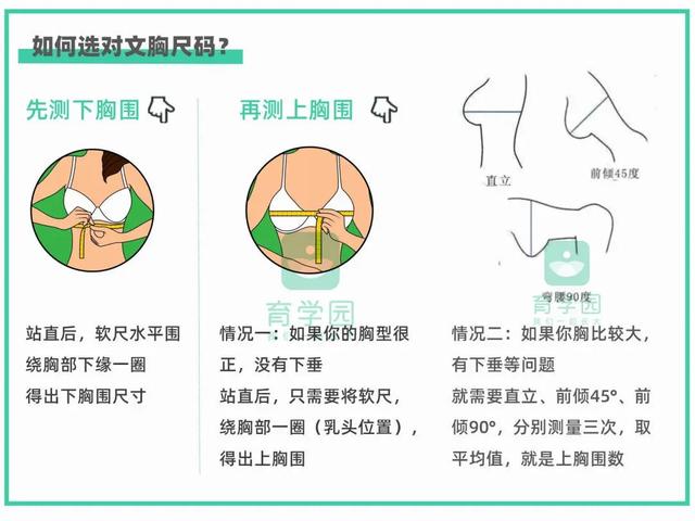 乳房的一生，不同阶段如何正确护理，看这一篇就够了