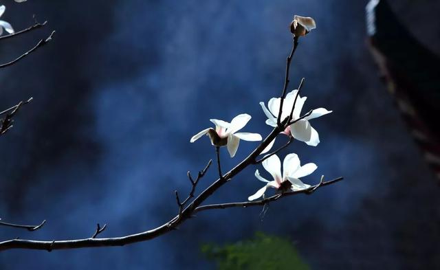 一个男人活在世上要过两大关,一个是金钱关,一个是女人关