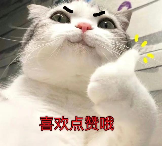 超可爱适合女生的萌宠头像