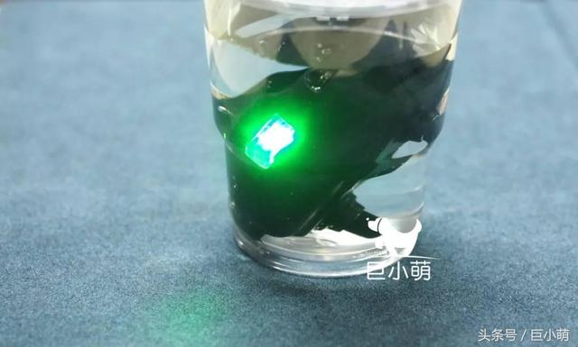 止吠器评测——代言狗以身试法，美女员工电击自虐