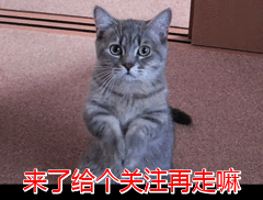 为什么猫喜欢舔我的脚，它是“变态”吗？背后有这几点秘密