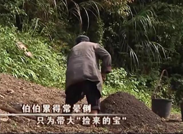 17年前，被遗弃在桥洞下的桃花姑娘，如今过得怎样？