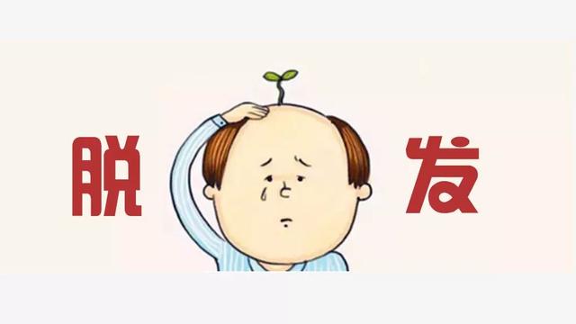 点进来，一键教你拯救发际线