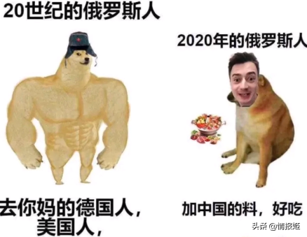 那只活在表情包里的柴犬doge，现在又进化了？