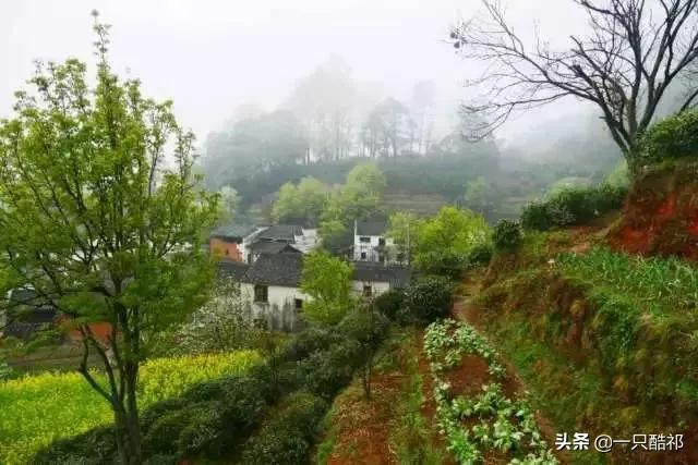 十年后,你留给孩子最好的礼物,不是金山银山,而是…