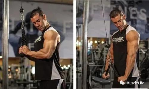 女生想要告别拜拜肉，男生获得粗壮的手臂，请点击这里