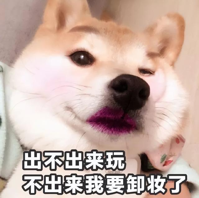 母犬交配后，为什么会生气，甚至转头攻击公犬？