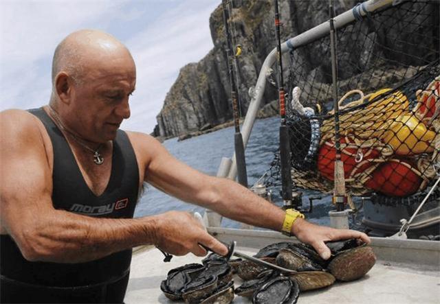 新西兰极品鲍鱼泛滥，当地人竟无动于衷，中国网友：我自带碗筷