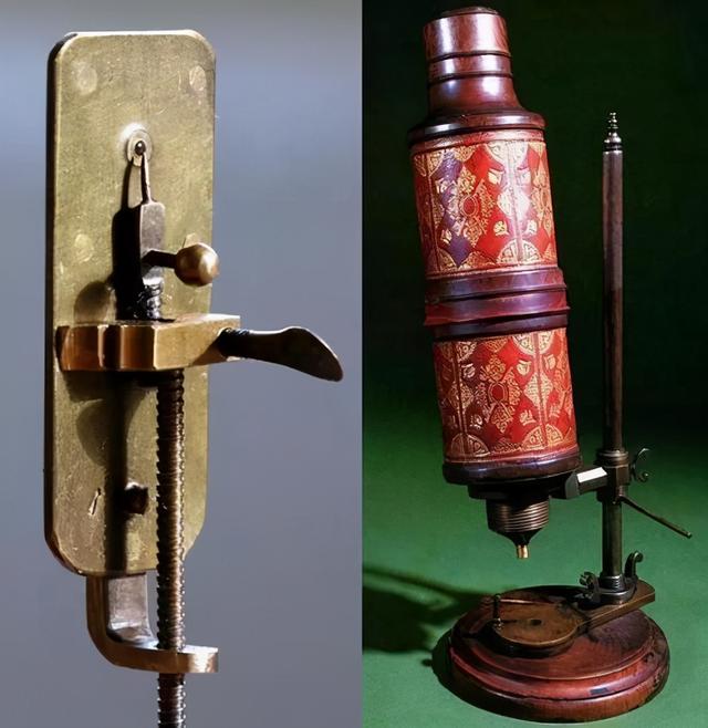 精子像钻头一样旋进,会“毒害”竞争对手,像一场不公平的道具赛