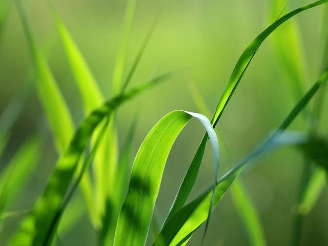 男子住41层酒店，女友光着身子拉开窗帘被清洁工看光，是谁之过？