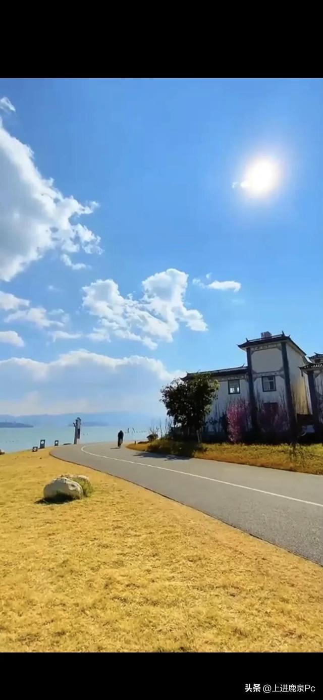 当女生问你为什么喜欢她,教你怎么回!