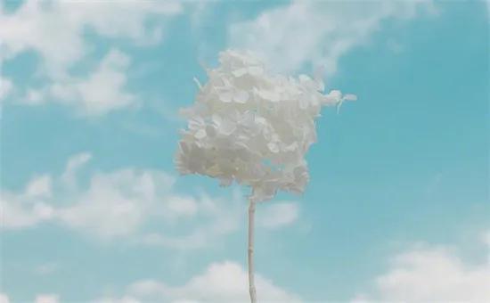 男子住41层酒店，女友光着身子拉开窗帘被清洁工看光，是谁之过？