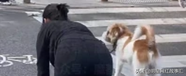 跪地爬行的女人，与狗栓一条绳，网友说是“主人的惩罚”