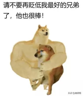 那只活在表情包里的柴犬doge，现在又进化了？