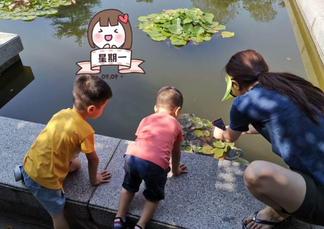 李思思：央视历届最年轻的女主持，事业巅峰嫁给初恋三年生二胎