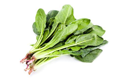 女性肾虚怎么办？推荐一些食疗方法