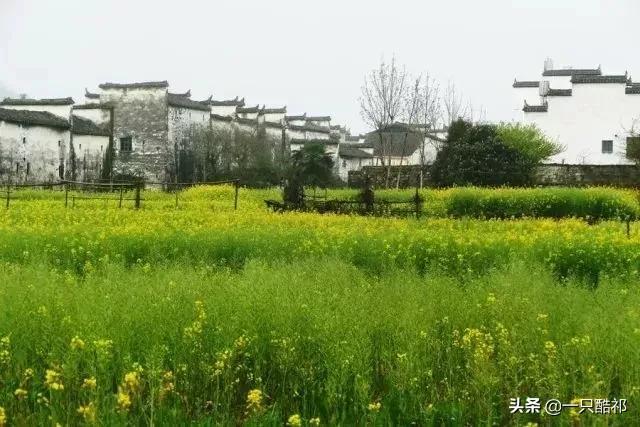 十年后,你留给孩子最好的礼物,不是金山银山,而是…