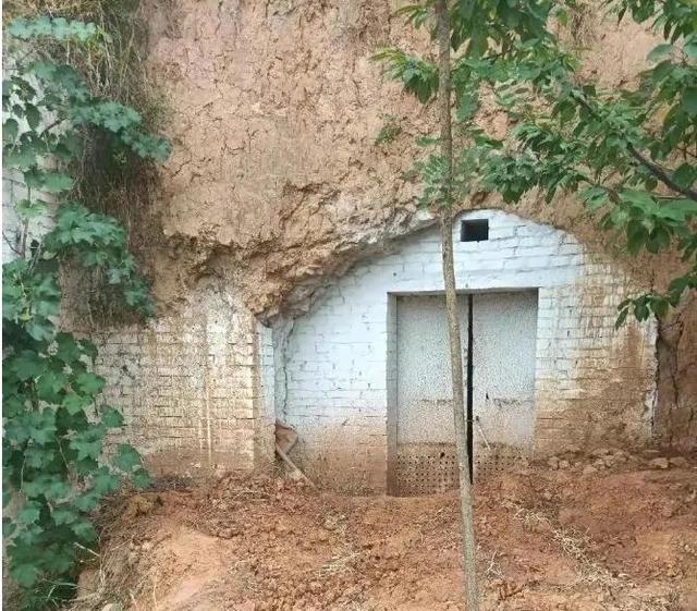 高考601分，河南省18岁女孩，为何被人残害致死？