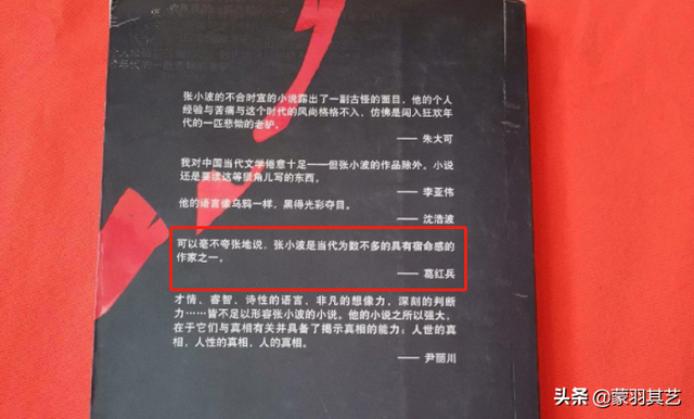 匆匆那年：美女作家九夜茴成名记，和她大亨老公张小波的花边往事