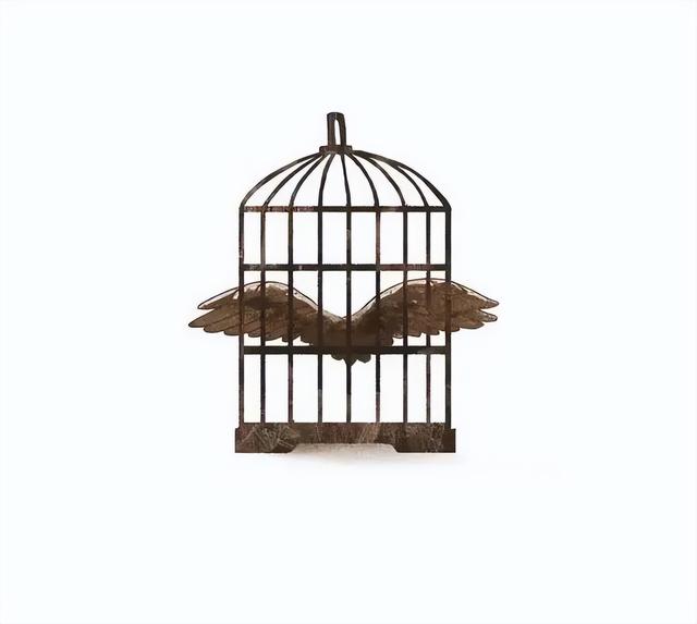 成年后，女儿去做了缩胸手术