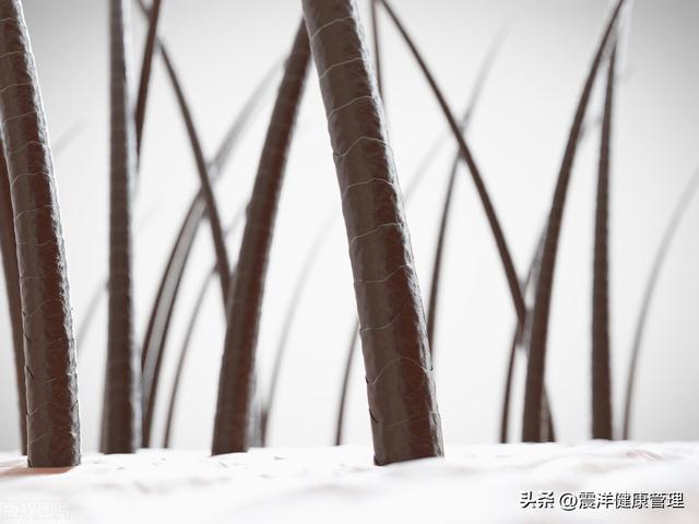 为什么有人“下面”没毛？女性私处毛发的4个作用，别羞于了解