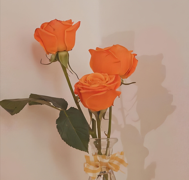 当女人对你有这个“举动”时，她是在向你告白：我真的很爱你