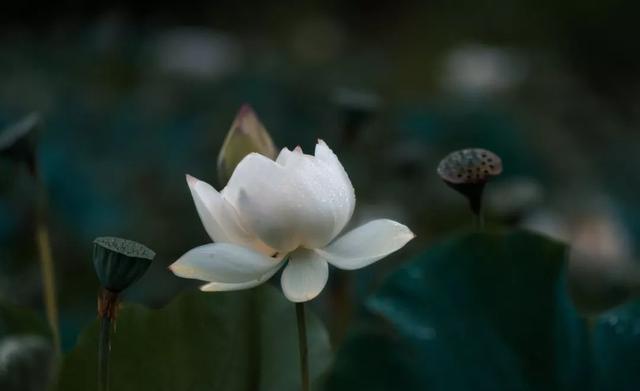 一个男人活在世上要过两大关,一个是金钱关,一个是女人关