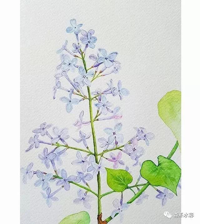 「森林系女孩」小清新水彩插画，带你走进自然的生活