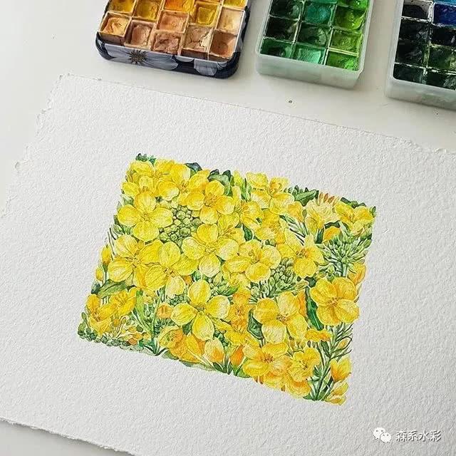 「森林系女孩」小清新水彩插画，带你走进自然的生活