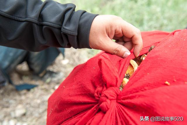 海拔3200米负重50斤，高原上的甘肃女人，太能干了