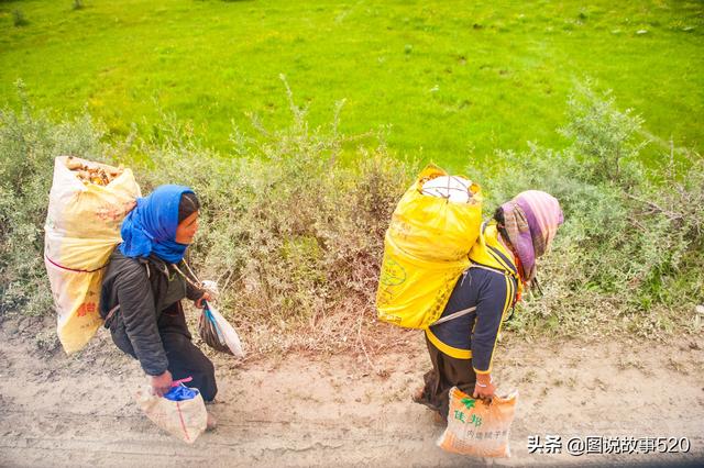 海拔3200米负重50斤，高原上的甘肃女人，太能干了