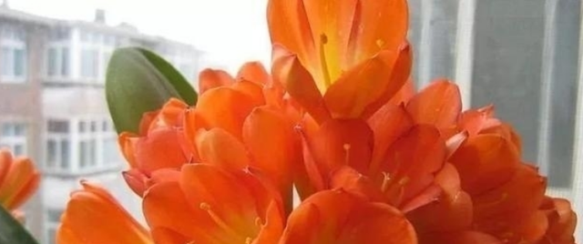 个性最倔强的3个生肖女,生气了,哄不好