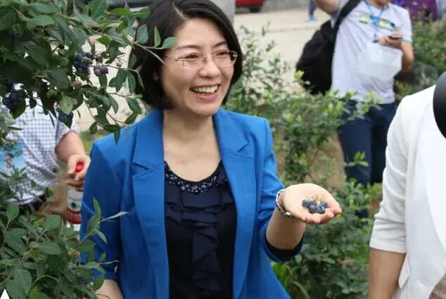 以“颜值和能力”直播卖货的女县委书记,升副厅